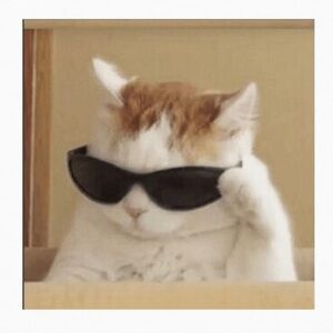 Meet your Posher, Will